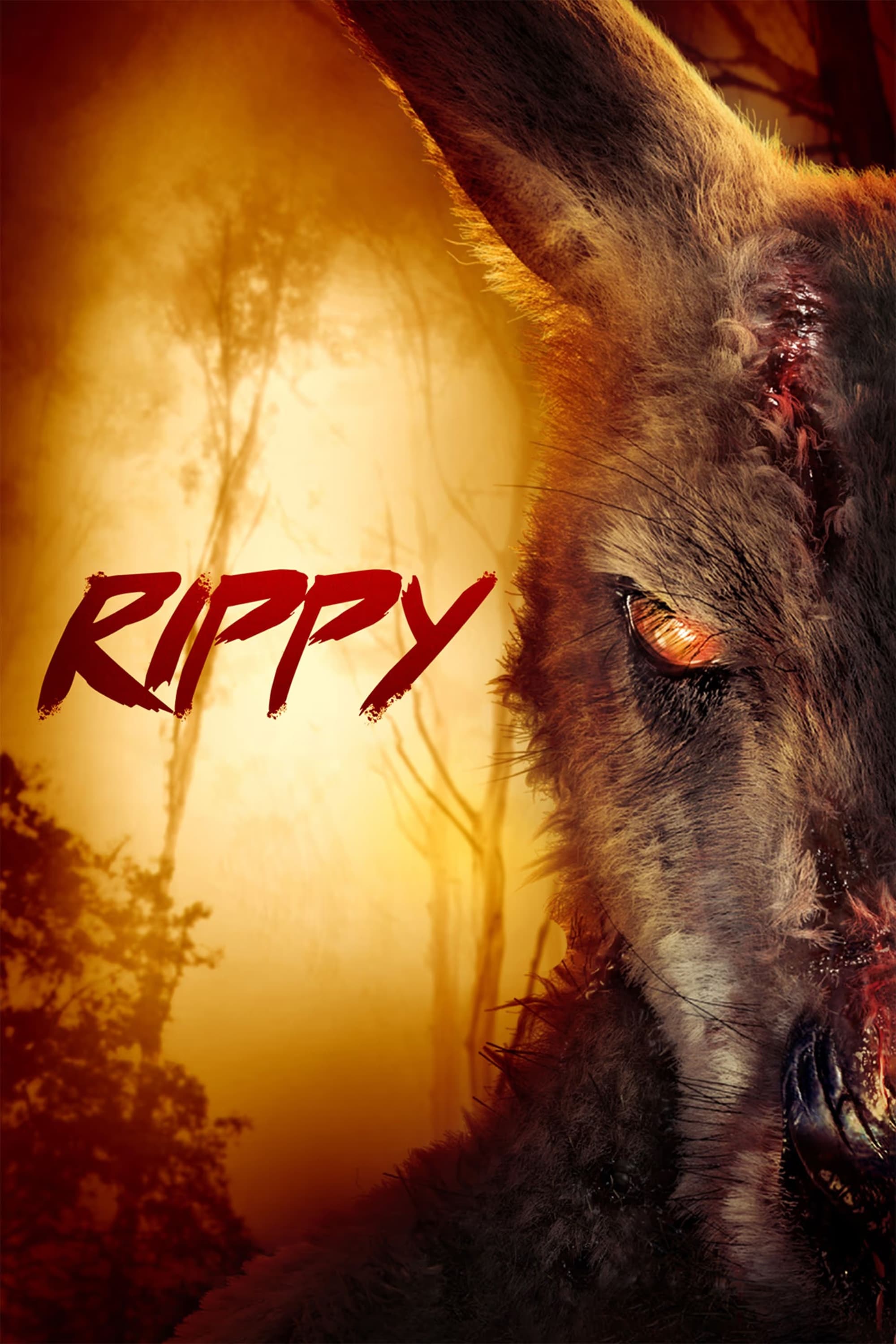 Постер Rippy
